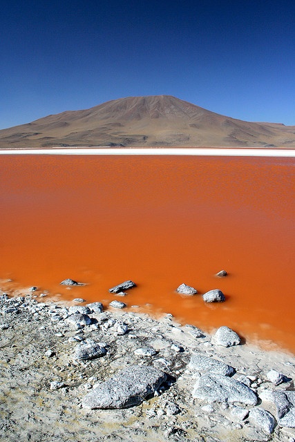 Photo:  Laguna Colorada, Bolivia 